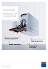 Flyer image processing for marking applications